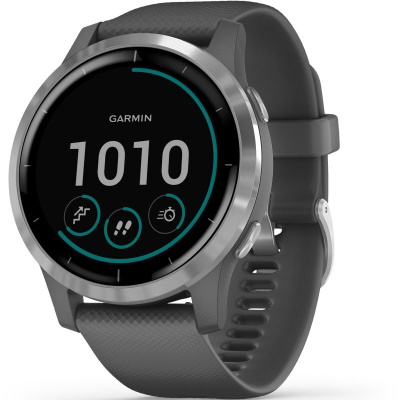Garmin Vivoactive 4 - 45 мм | Shadow Grey with Silver Hardware