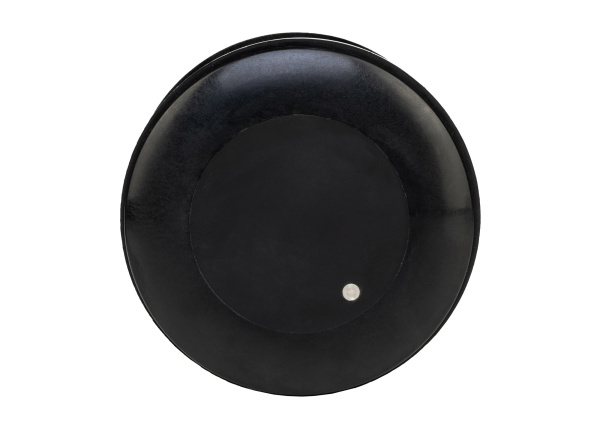 RAYMARINE CPT-S HIGH CHIRP Plastic Thru-Hull Transducer / 0° beam angle E70339 от прозводителя Raymarine