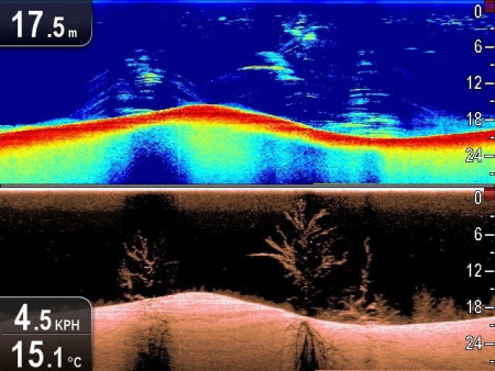 Raymarine Dragonfly-4 Pro с датчиком CPT-DVS